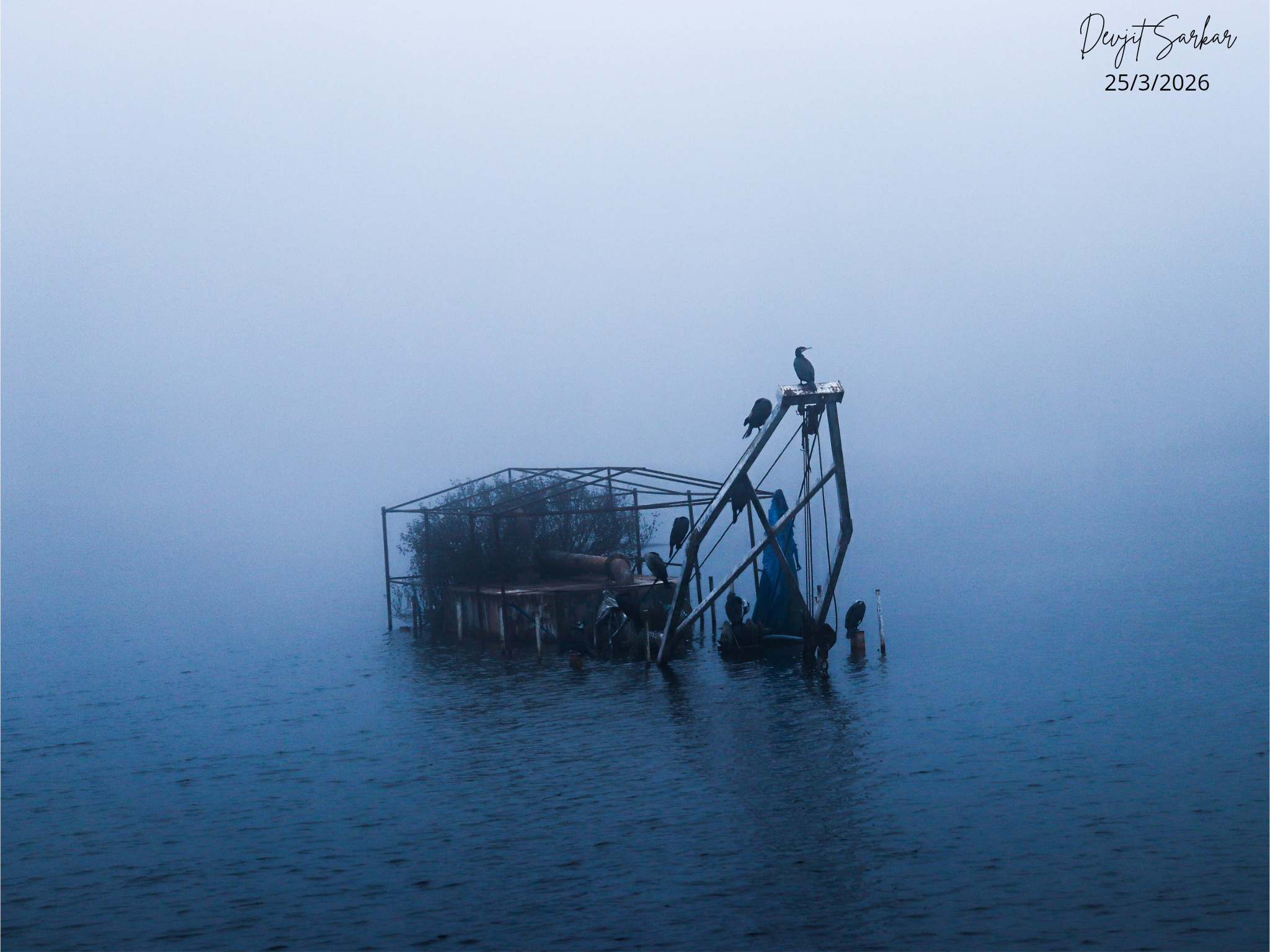 Portfolio photo 1 of Devjit Sarkar 